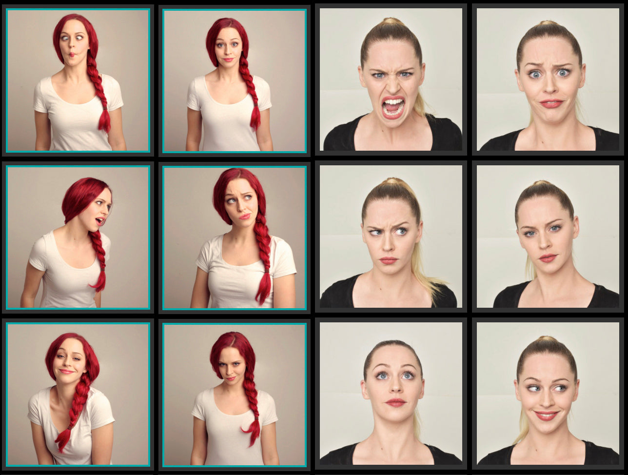 Expressions Variety - Stock Model Reference Pack