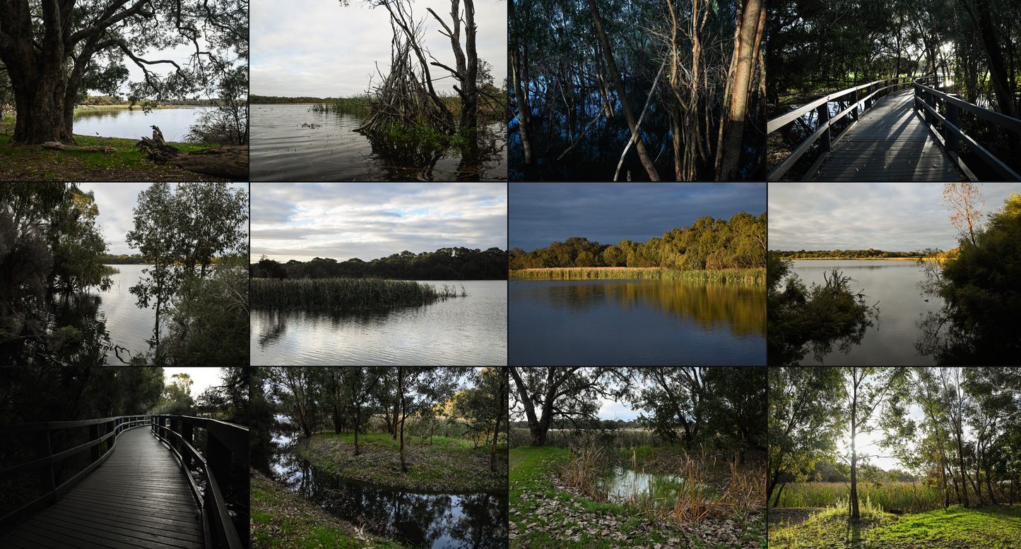 Australian Landscapes 2 - Location background reference pack