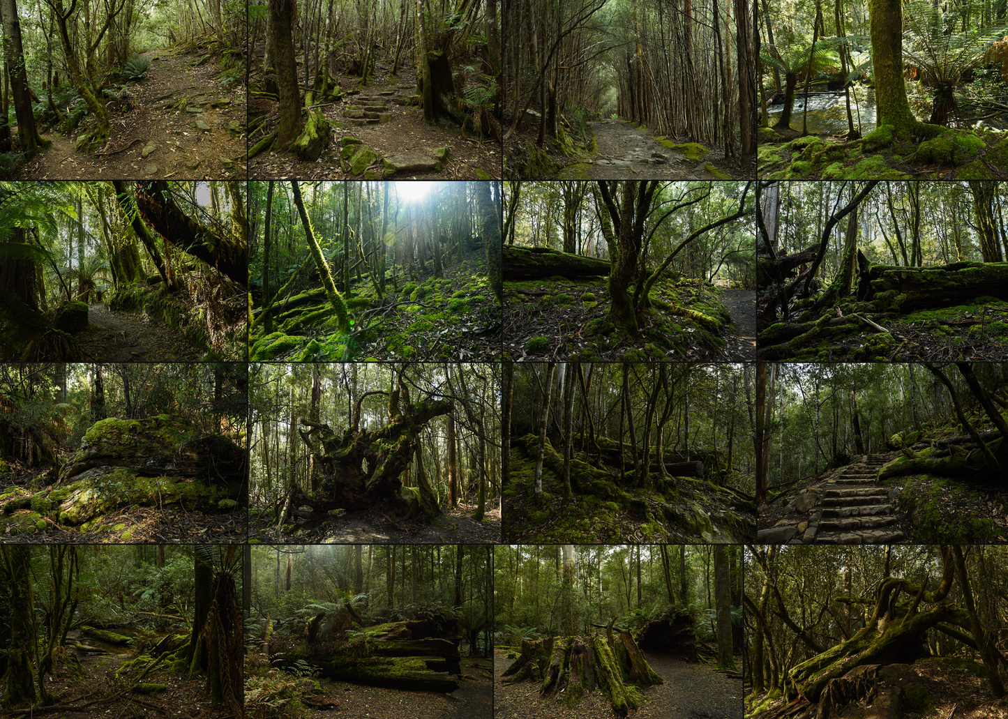 Australian Landscapes 2 - Location background reference pack