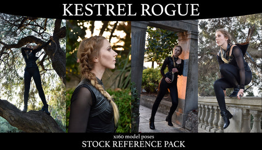 Kestrel Rogue - Fantasy Stock Model Reference Pack