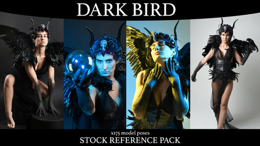 Dark Bird - Stock Model Reference Pack