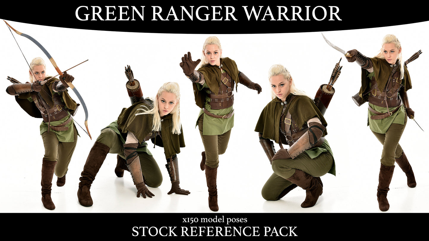 Green Ranger Warrior - Stock Model Reference Pack