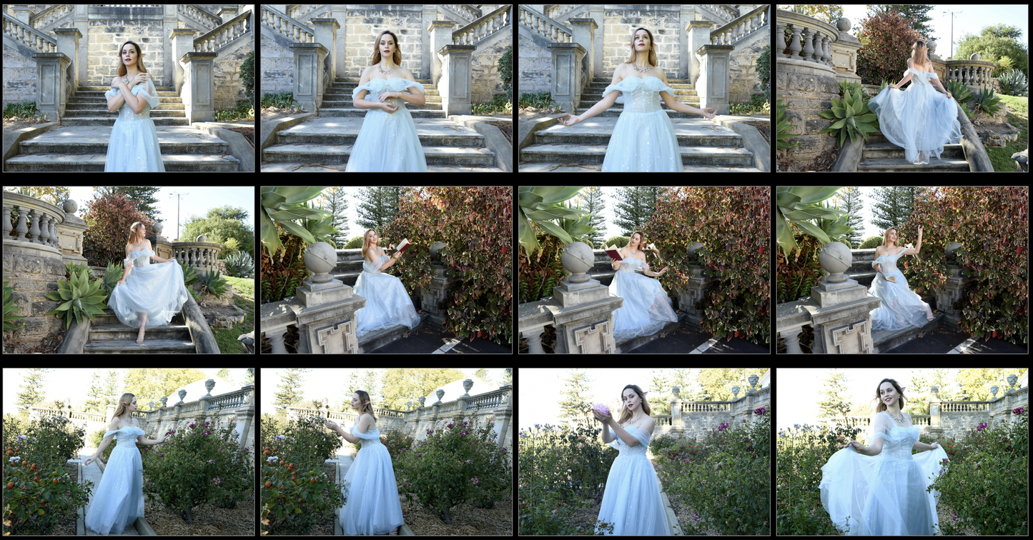 Fairytale Gown  -  Stock Model Reference Pack