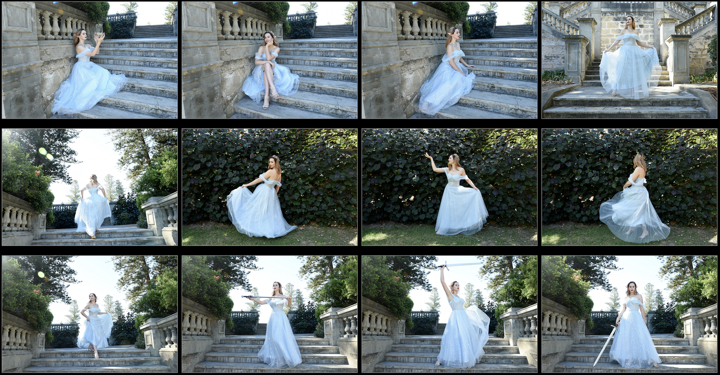 Fairytale Gown  -  Stock Model Reference Pack