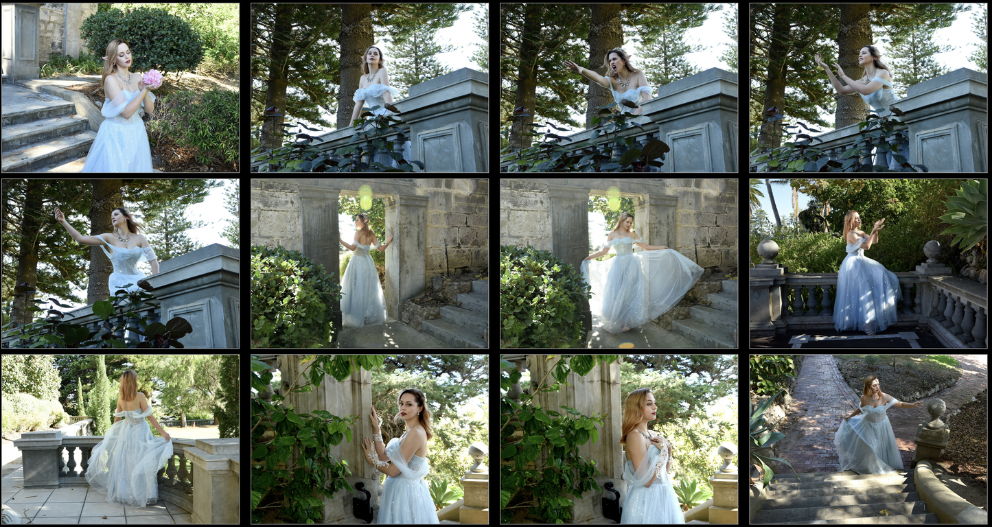 Fairytale Gown  -  Stock Model Reference Pack