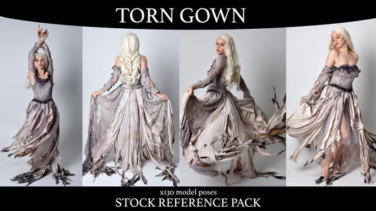 Torn Gown - Pose Reference Pack